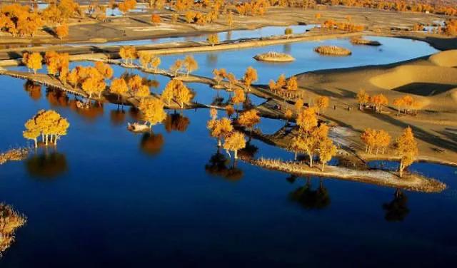 胡杨泪电影完整版,胡杨泪免费阅读全文