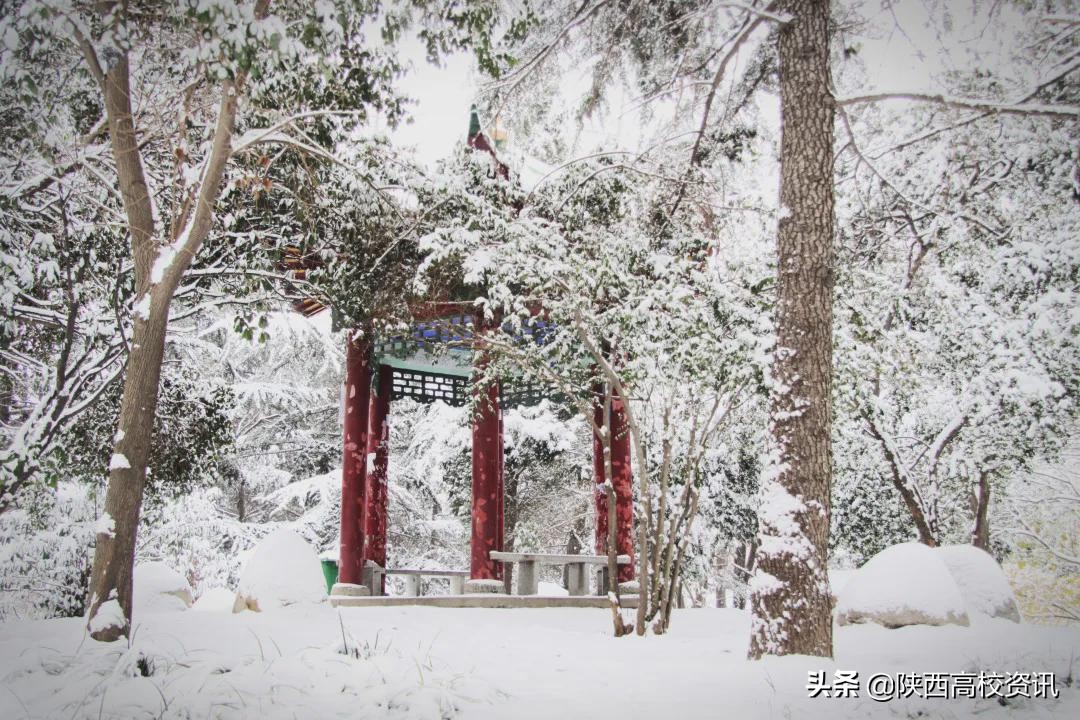 陕西财经职业技术学院单招题,陕西财经职业技术学院24届招生