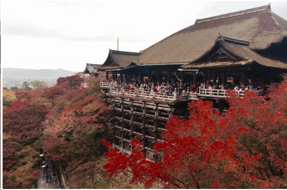 来到日本不能错过章鱼小丸子,去京都不可错过的和服体验