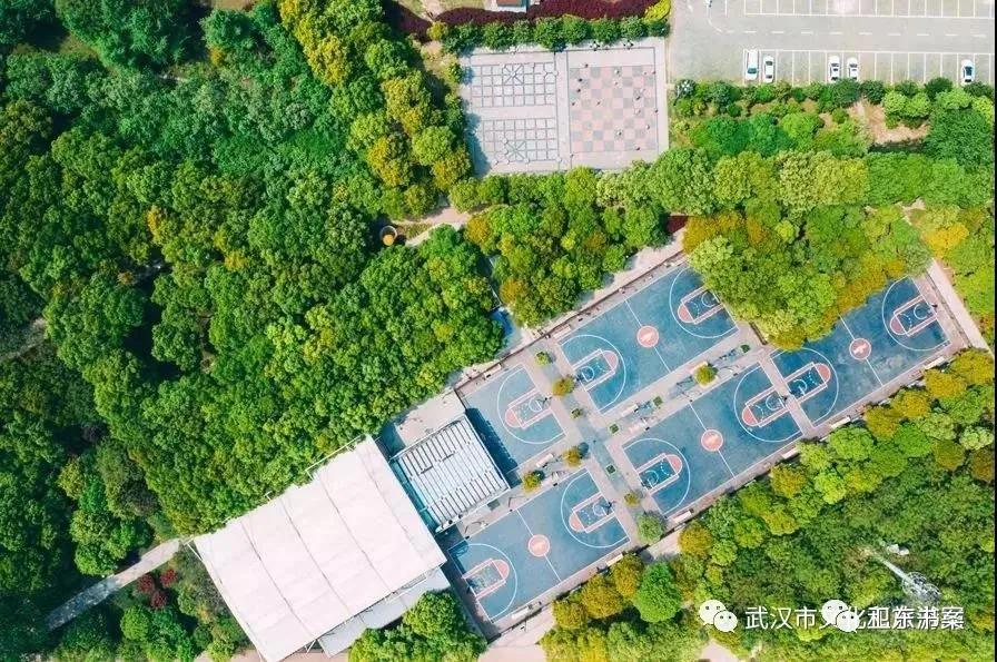 武汉江滩的那些事,武汉江滩的故事