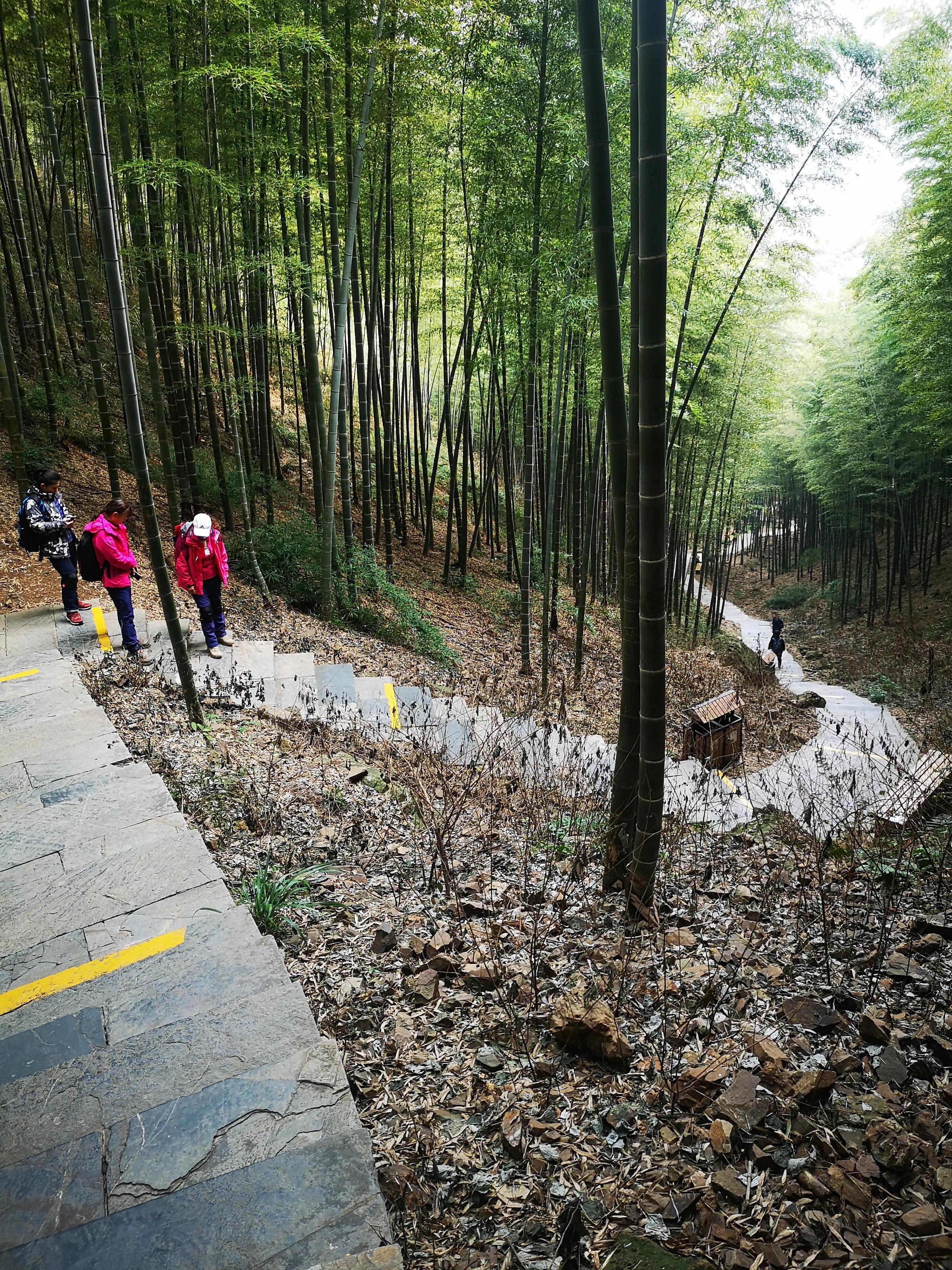 溧阳南山竹海小鸟天堂,宜兴南山竹海和溧阳南山竹海