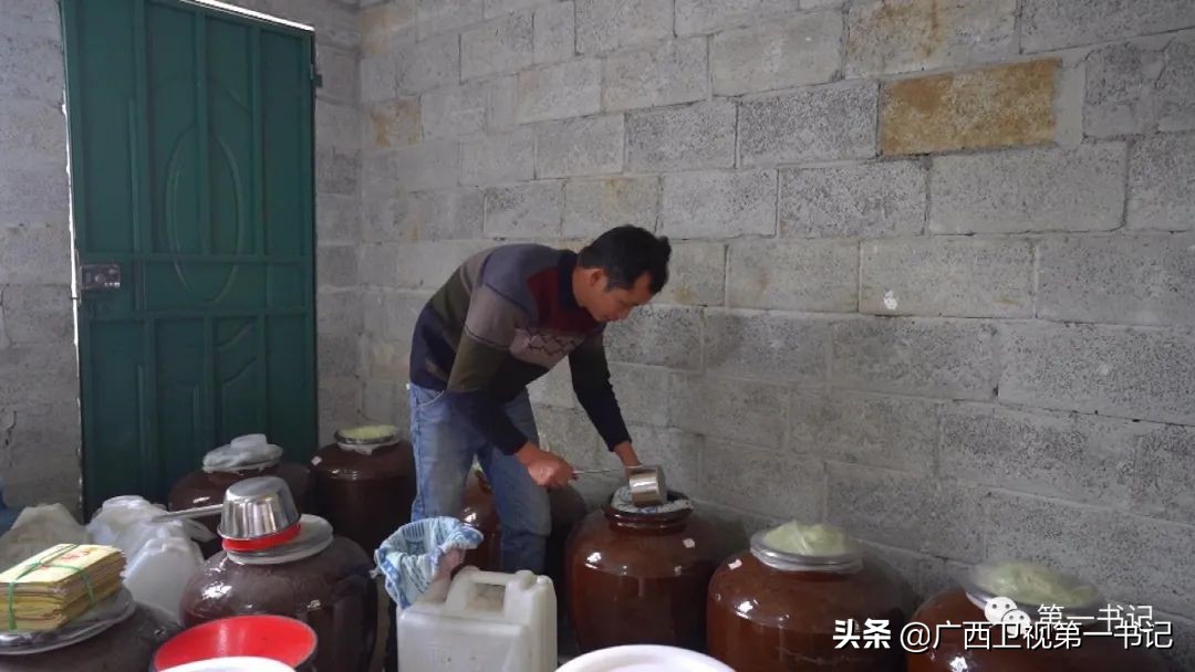 广西天等指天椒出名,广西天等指天辣椒种植