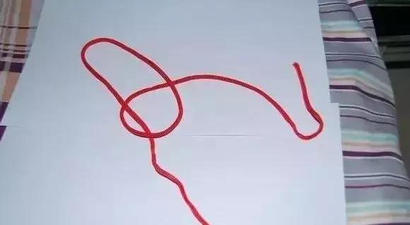 伯劳鸟饲养,没睁眼的伯劳怎样饲养