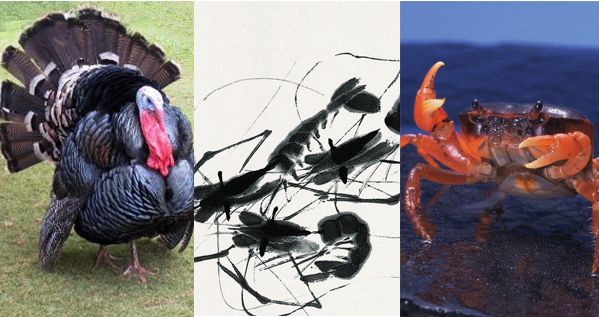 如何用英语怼人搞笑,别人在你面前炫耀英语如何怼回去