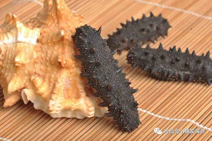 海参怎样吃才能发挥其最大化作用,海参的皮有营养还是筋有营养