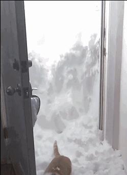 必达智能锁人脸识别,必达智能锁f1