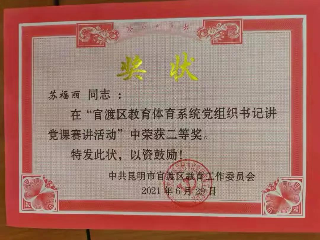 迎七一庆百年主题党日活动,建党百年七一庆典活动