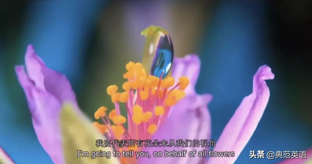 适合学习英语的双语纪录片,适合初中生看的英语纪录片