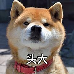 字体侵权必需知识,有哪些无版权风险的字体