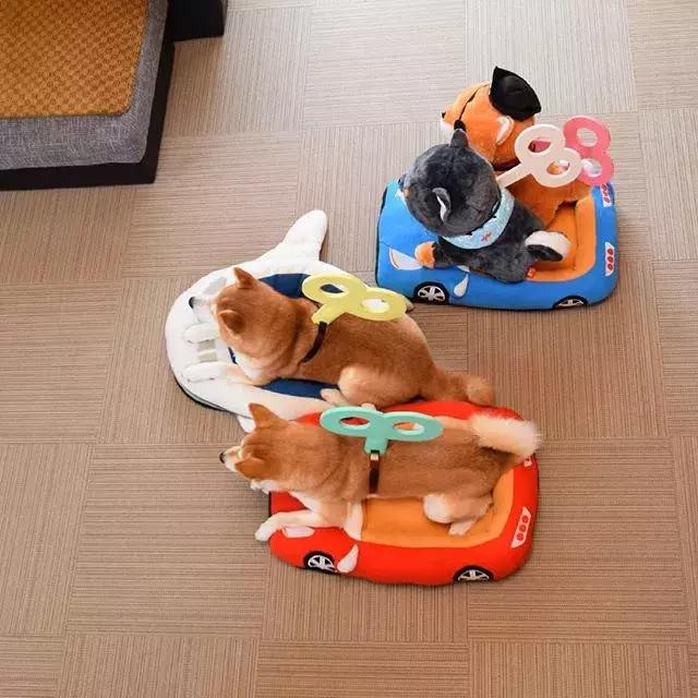 日本博主给两只柴犬买了几十只玩偶，变成大型实物版“连连看”…