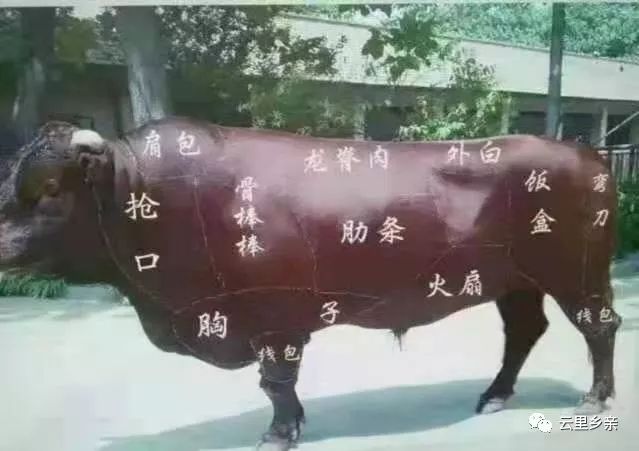 牛干巴最佳吃法能直接吃嘛,盐焗牛干巴的10种吃法