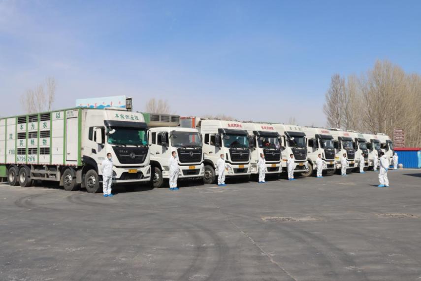 强强联姻！3600头家育系*猪种**落户重庆正大，为猪业复产添动力