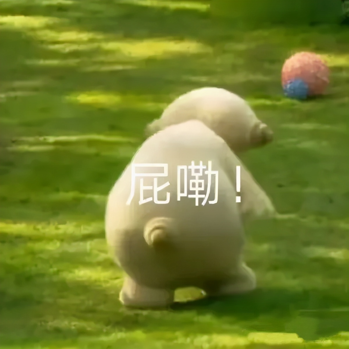 梨涡有什么用处,梨涡对于面相的影响