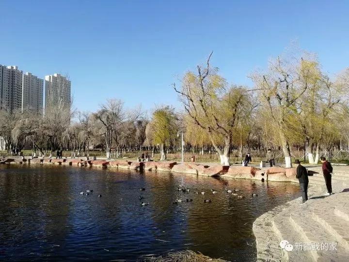 南公园，一代乌鲁木齐人的青春与回忆！