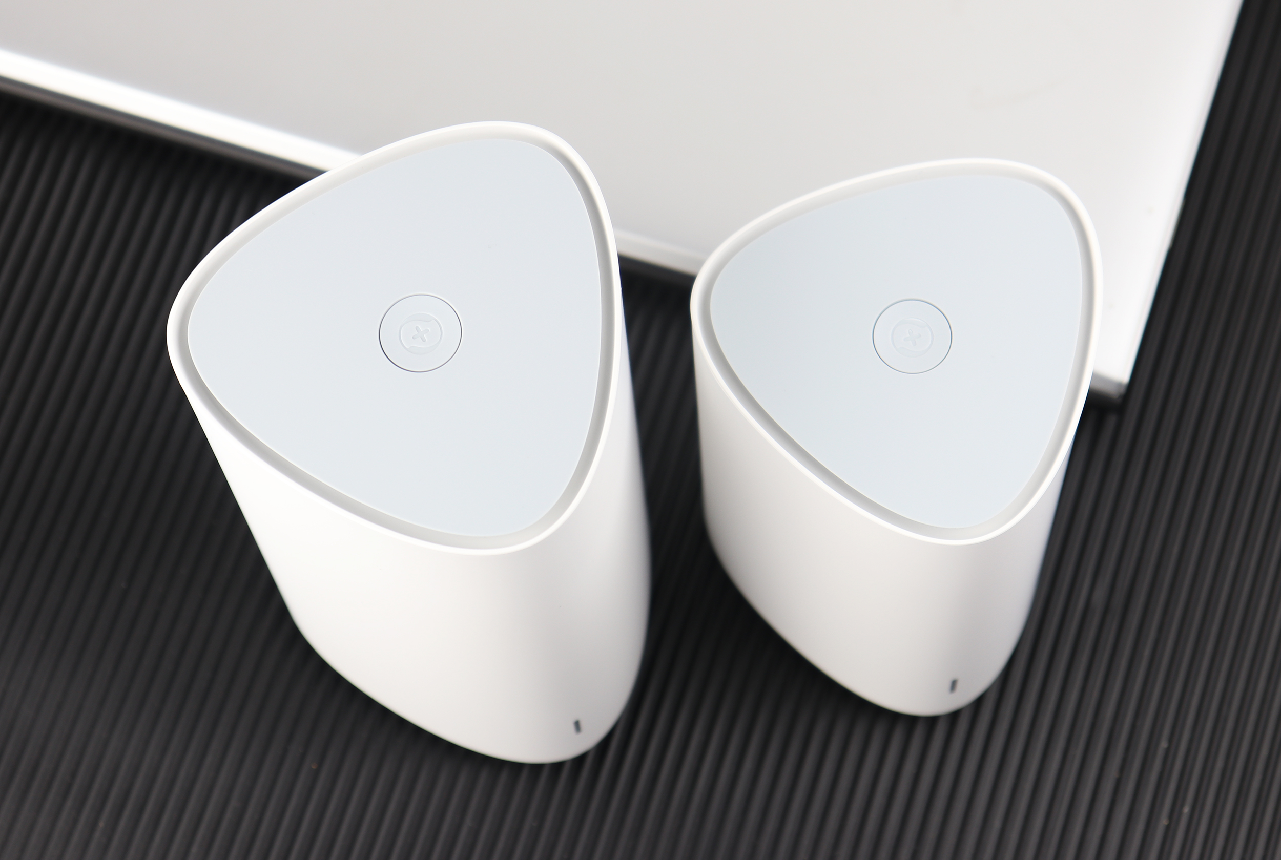 想要满屋子香养什么花,想要全屋信号无死角