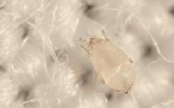 姘ㄥ熀閰稿噣閫忕編鐧芥磥闈钩鐩存挱,姘ㄥ熀閰告场娌礂闈㈠ザ缇庣櫧鐩存挱