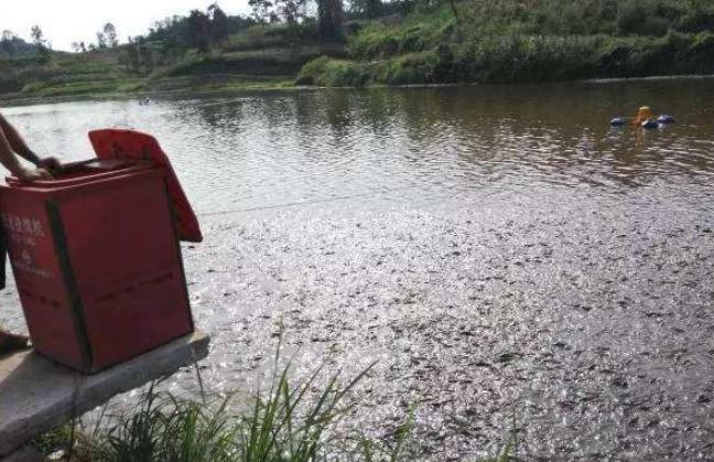 败血症不治疗,败血症培养不出细菌怎么办