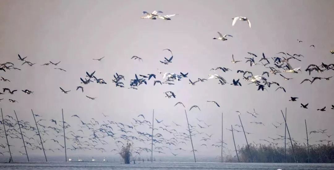 这些地方颜值逆天，却被土到掉渣的名字坑惨了