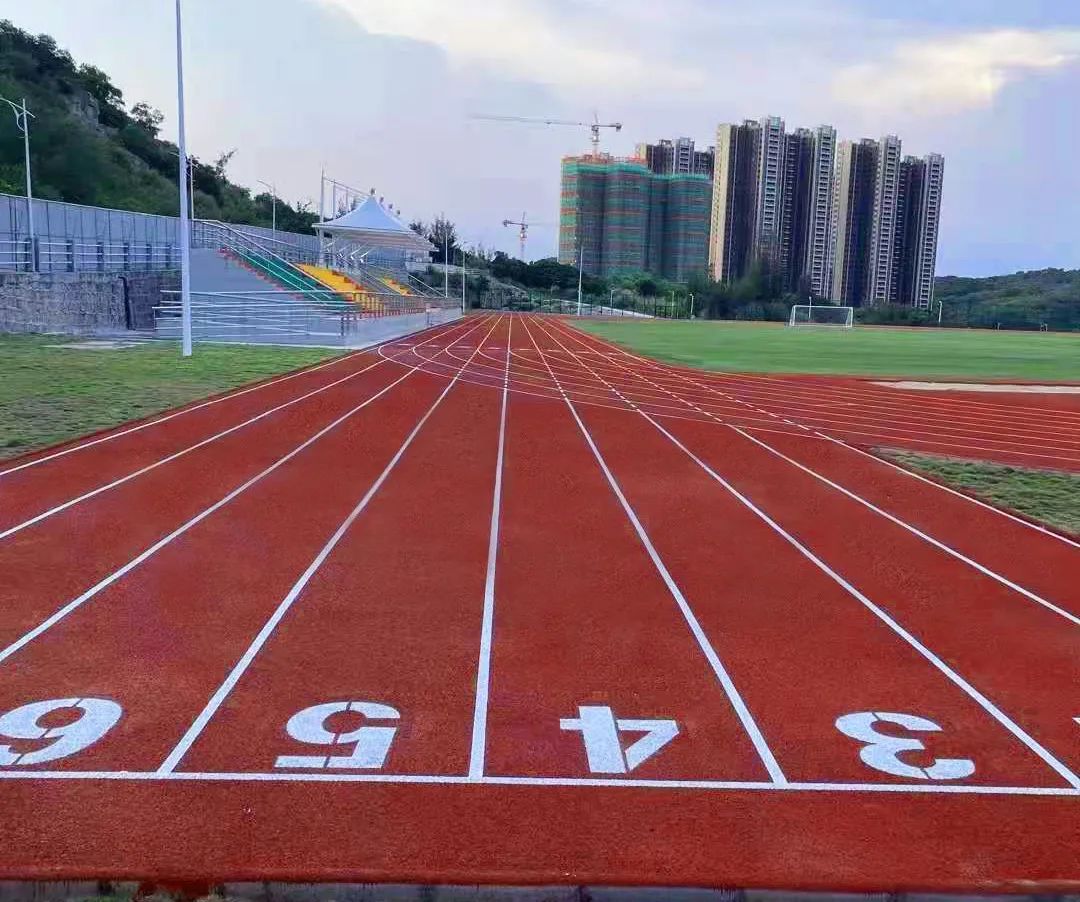 亚青会有什么项目,亚青会体育馆建造成本