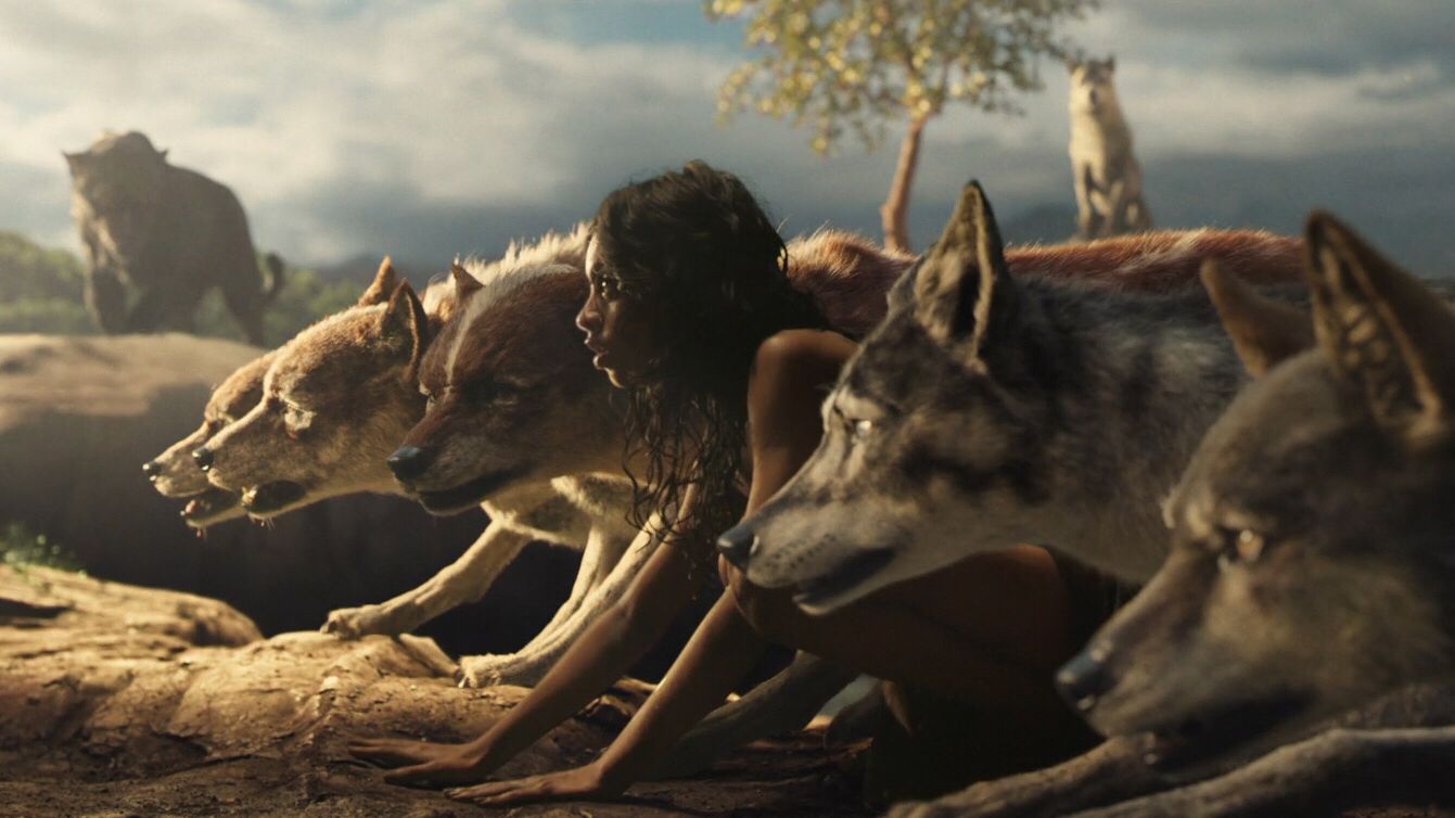 全国有多少人打麻将,中国有几亿人打麻将