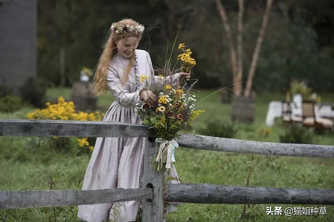 穿出奥斯卡复古名媛感,《小妇人》的设计美学超好用