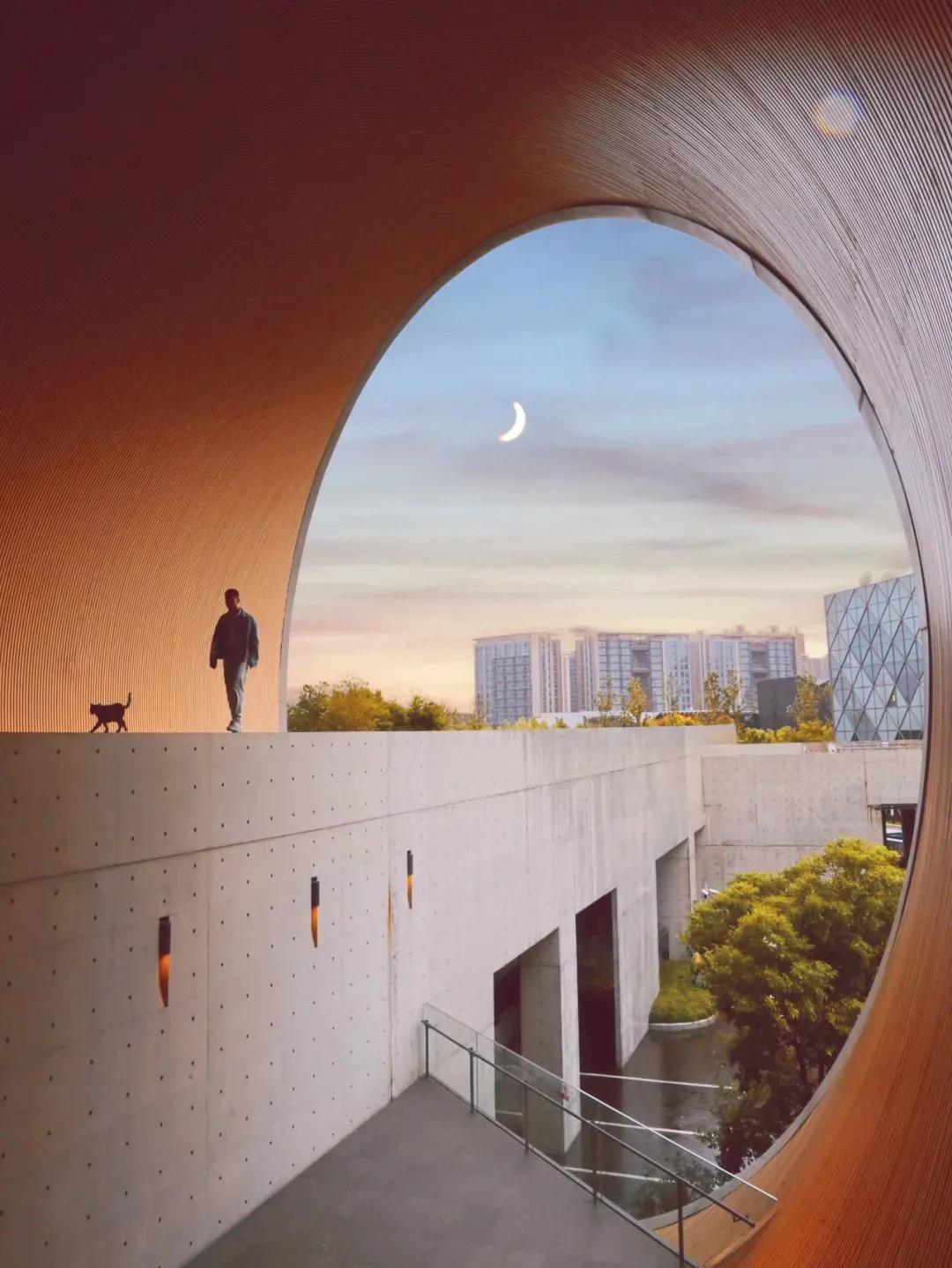 上海免费的旅游攻略,上海最实惠的免费旅游攻略