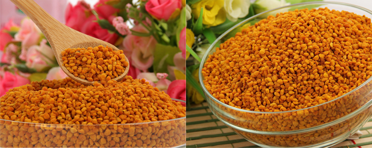 蜜蜂蜂王浆蜂胶蜂花粉的区别,蜂蜜和蜜蜂分不清