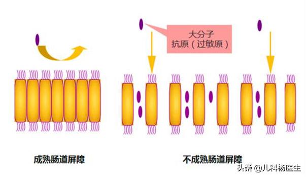 宝宝转奶一段到二段换奶粉拉肚子,宝宝母乳转奶粉后拉肚子怎么办