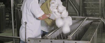 喝油减肥法有哪些,喝油可以减肥吗