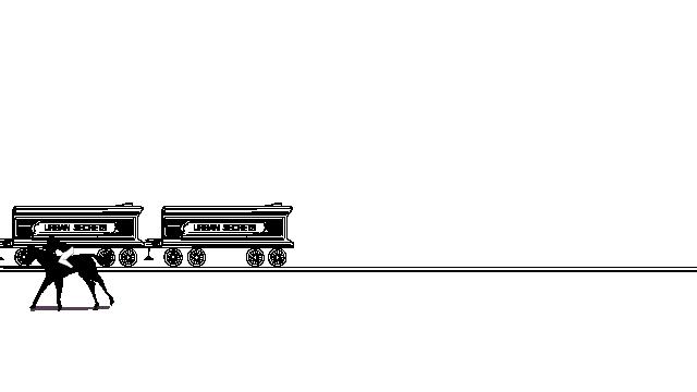 有哪些姓是旗人,旗人姓氏都有哪些