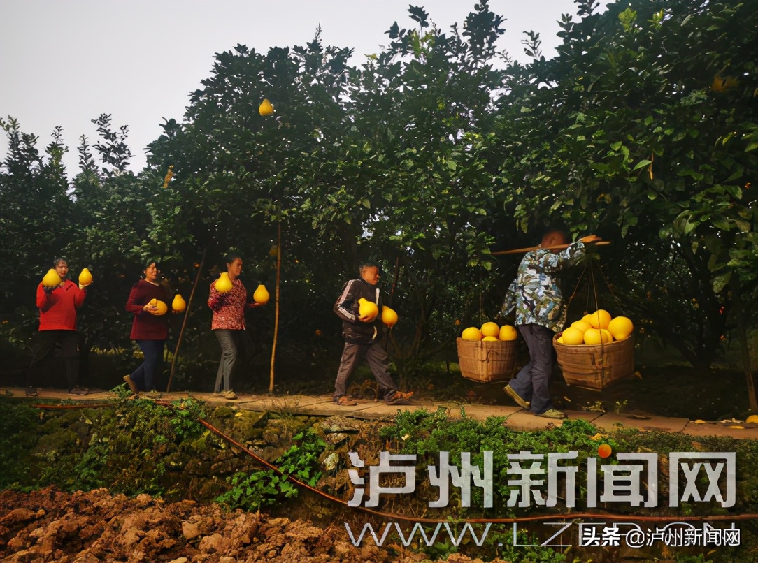 2020四川消费品精品展宜宾市,四川省消费品展宜宾参展商