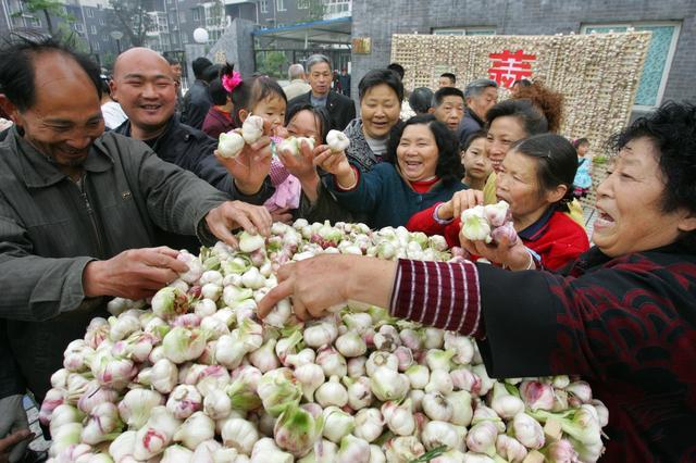 我国大蒜价格持续上涨,2020年“蒜你狠”局面会到来吗?