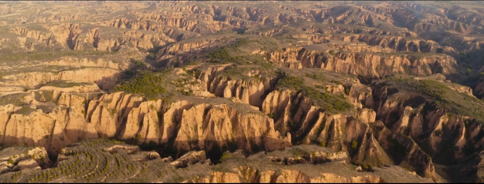 潘粤明被怼视频大全,鬼吹灯之云南虫谷电视剧潘粤明