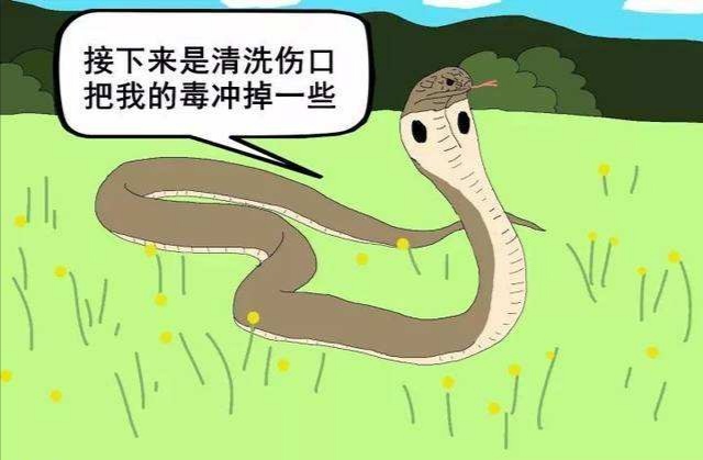 深秋蛇出没,在南方需要注意的毒蛇