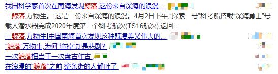 鲸落到底有多凄美,鲸落南北鲨掉东西的段子