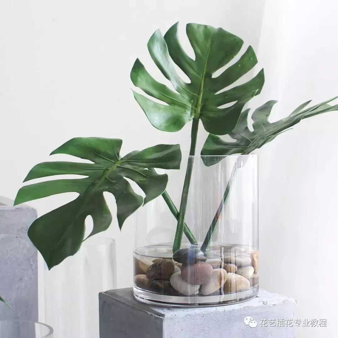 花艺课程绿植教程,花艺种植培训零基础课程入门