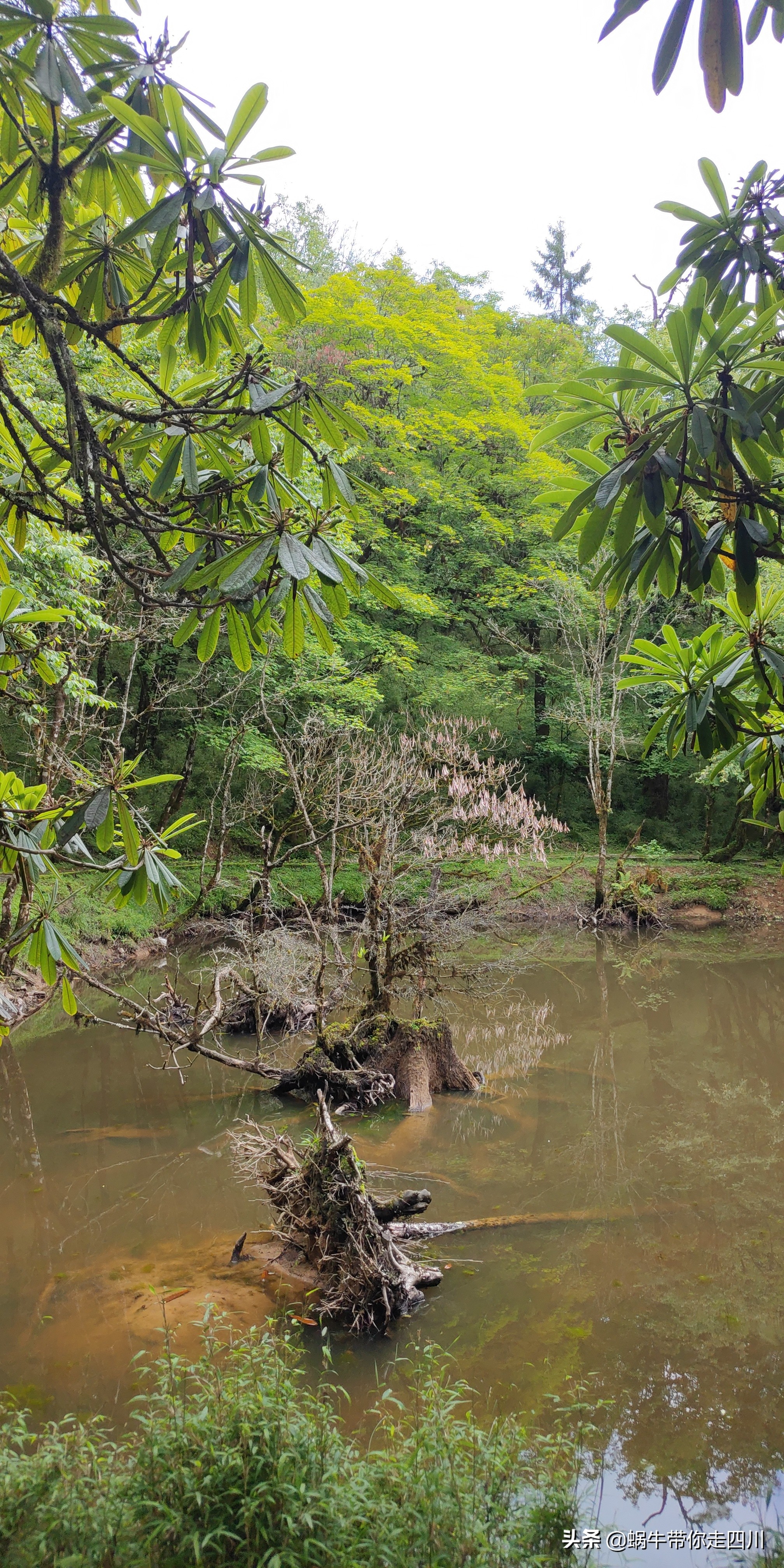 带小朋友出去看小动物,带小孩去海洋动物园
