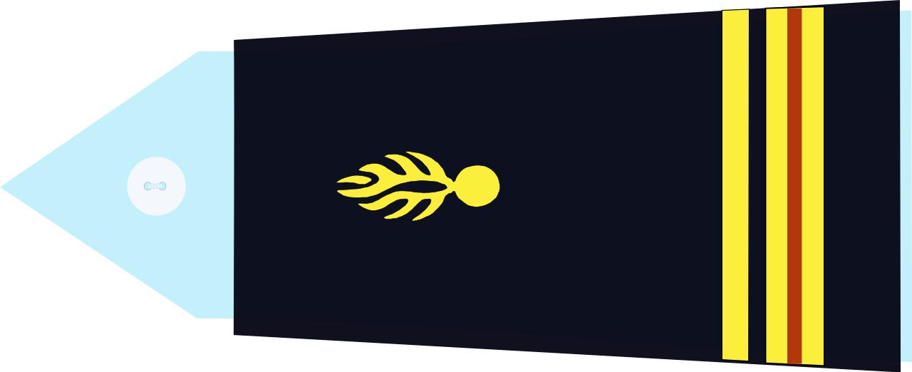 法国将军军衔等级,法国上校是什么军衔