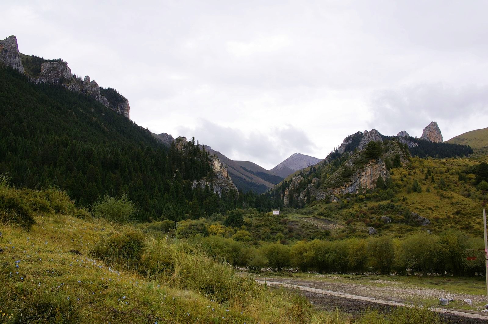 甘南则岔石林有什么好玩的地方,甘南碌曲则岔石林