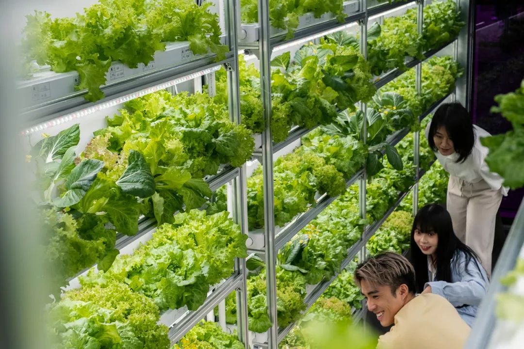 这条街,可能是全上海最时髦又接地气的