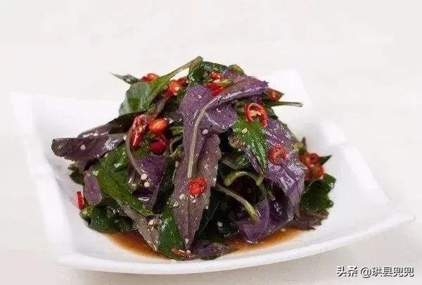 宜宾吃血皮菜中毒,儿童吃血皮菜炒猪肝