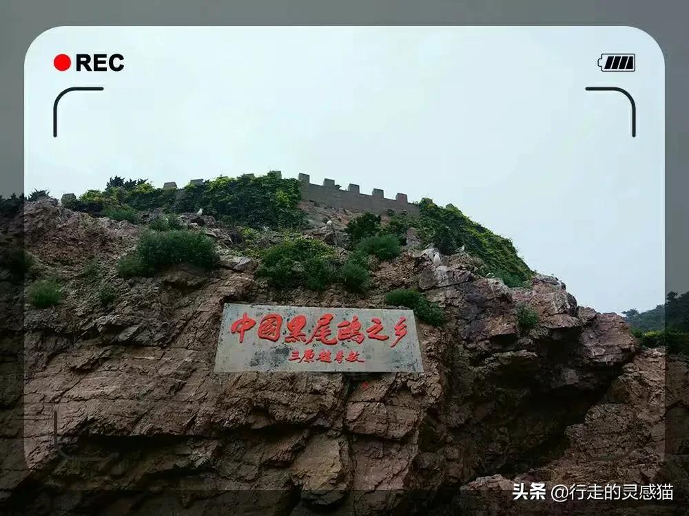 山东威海海驴岛攻略,山东海驴岛旅游攻略