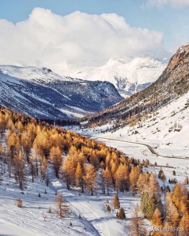 适合发QQ动态的句子,qq动态说说大全适合晚上发的