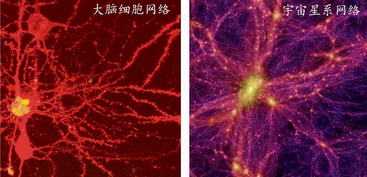 色即是空,空即是色,宇宙真是无中生有的吗?