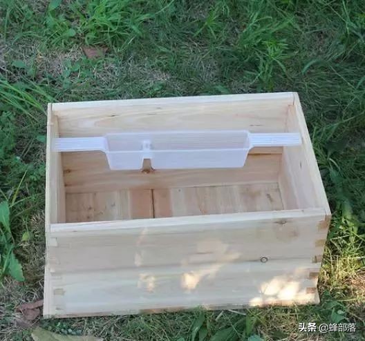 怎么把糖浆放在蜂桶里喂蜜蜂,蜜蜂会不会在蜂箱附近采蜜