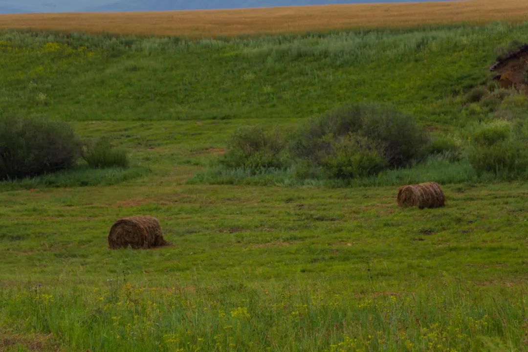 自驾三天呼伦贝尔大草原,自驾去呼伦贝尔草原七日游的攻略
