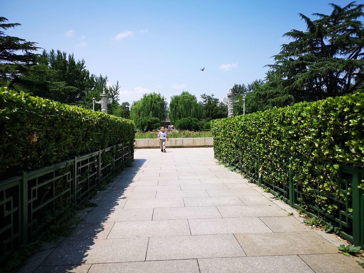 漫步北大校园,北大印象图片