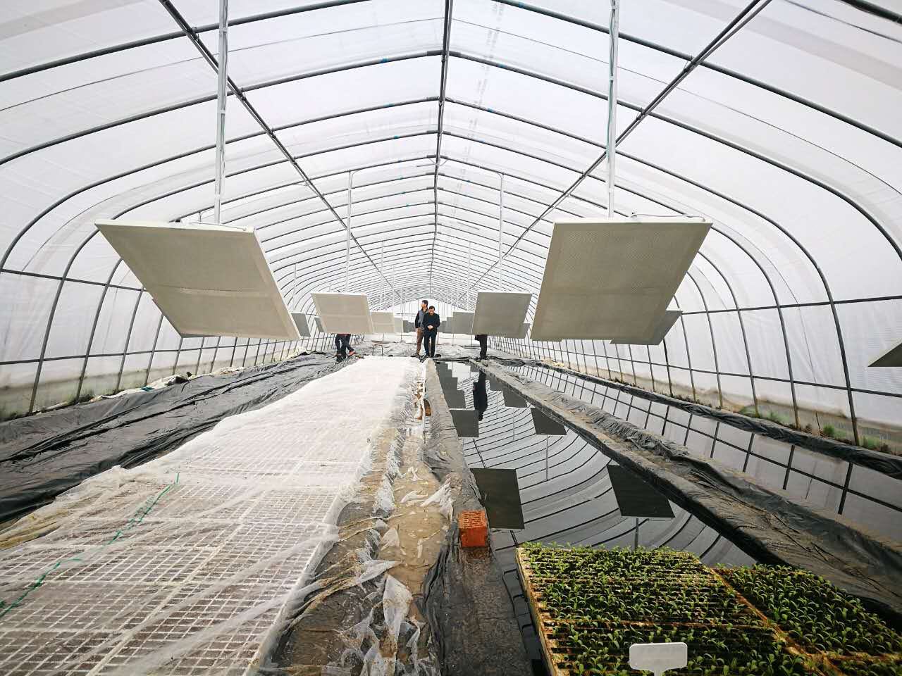 石墨烯农业科技创新,石墨烯农业上应用材料的应用