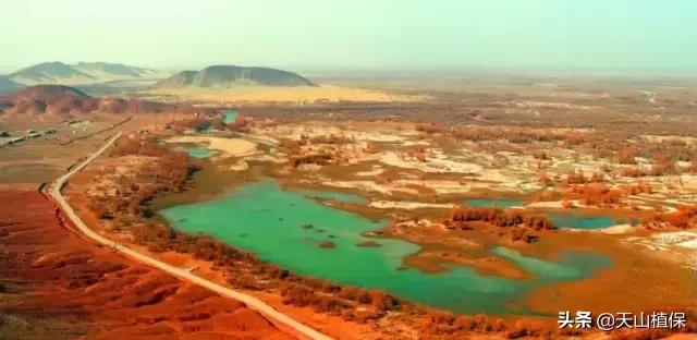 新疆的南疆图木舒克属于阿克苏吗,新疆图木舒克城市风景