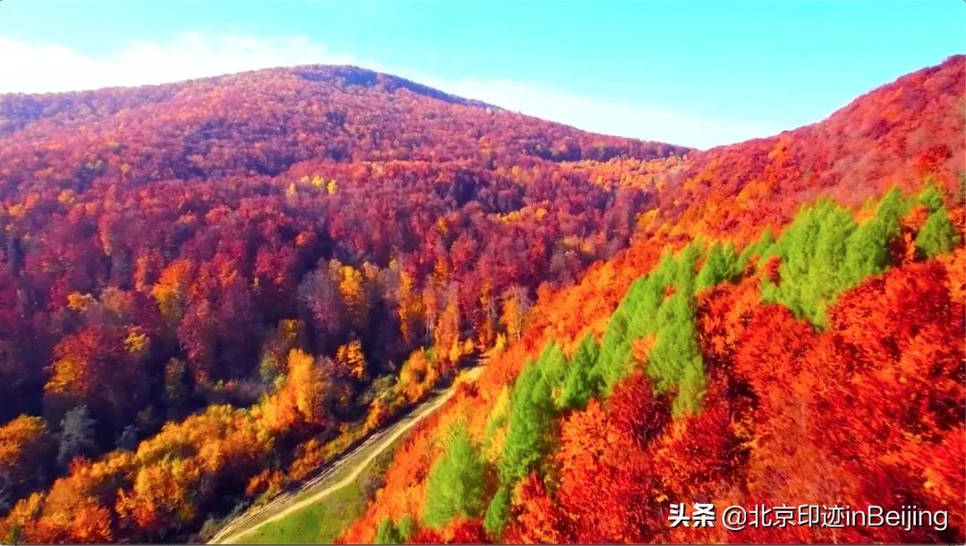 香山静宜园图片大全,香山静宜园二十八景